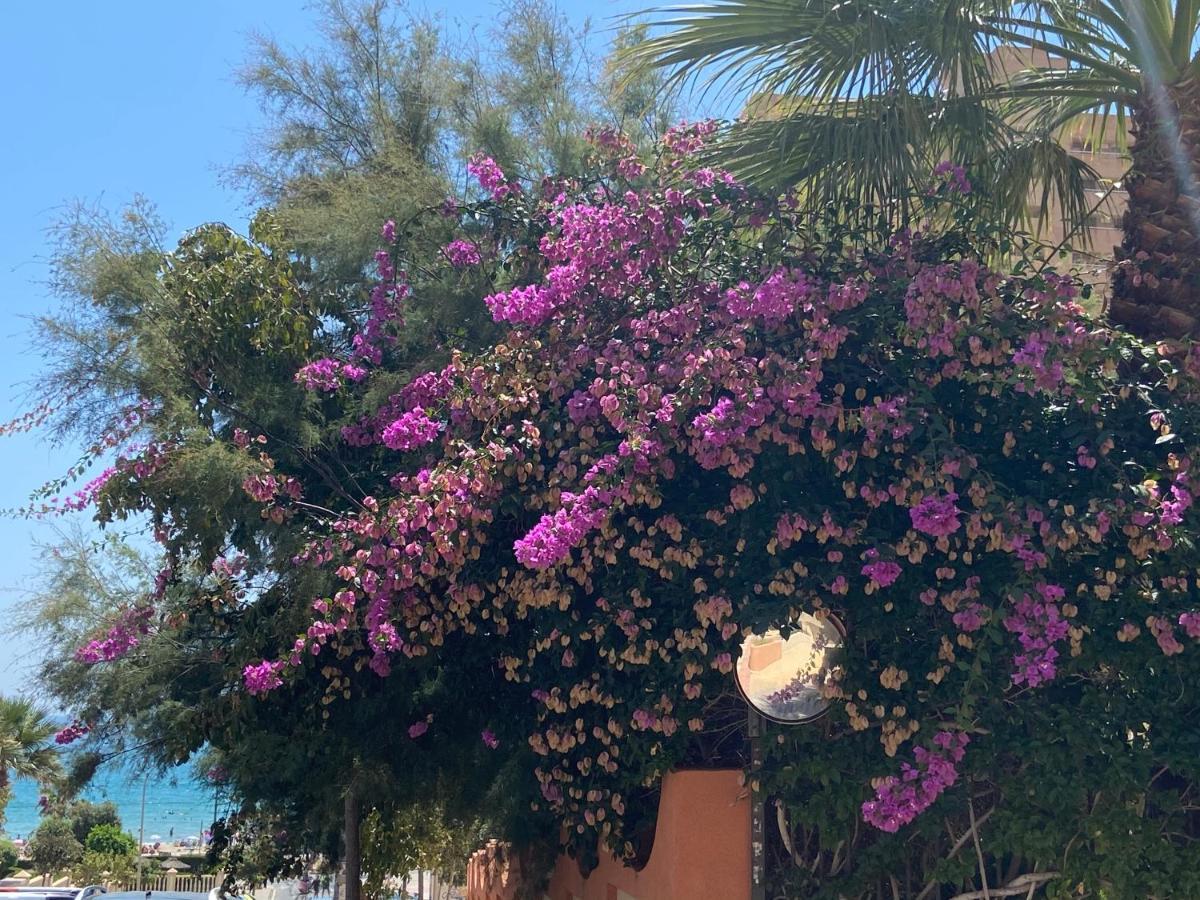 Alicante Apartamento En La Playa Muchavista-San Juan - Marluma Frente Al Mar La Venteta Kültér fotó